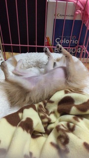 写真 2017-08-04 23 04 49.jpg