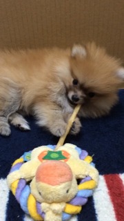 写真 2017-08-05 0 48 49.jpg