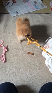 写真 2017-08-05 18 57 41.jpg