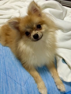 写真 2017-08-06 22 35 32.jpg