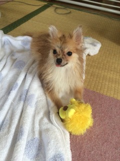 写真 2017-08-06 9 00 48.jpg