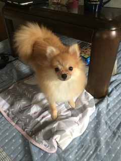 写真 2017-08-11 8 54 39.jpg