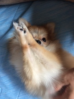 写真 2017-08-13 16 13 37.jpg