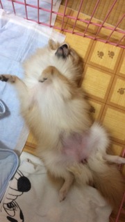 写真 2017-08-19 23 16 31.jpg