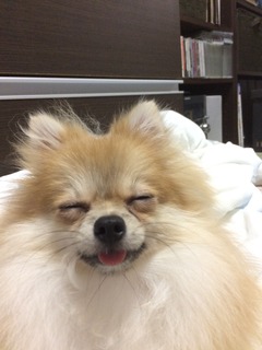 写真 2017-09-16 21 17 34.jpg