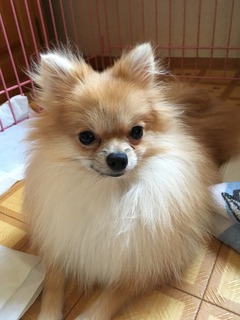 写真 2017-09-18 14 00 27.jpg