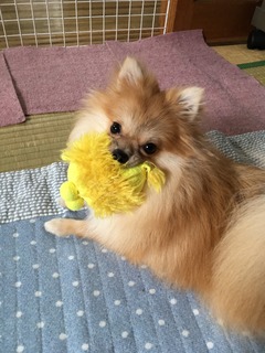 写真 2017-09-22 12 06 28.jpg