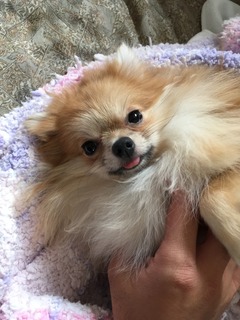 写真 2017-10-05 11 42 47.jpg