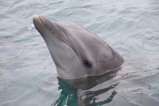 写真 2017-10-14 14 20 59.jpg