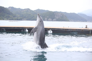 写真 2017-10-14 14 25 52.jpg