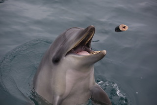 写真 2017-10-14 14 47 35.jpg