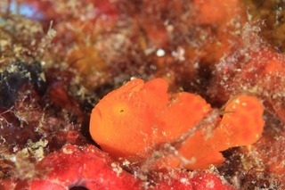 写真 2017-10-16 21 44 09.jpg