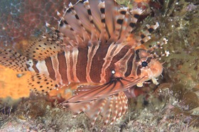 写真 2017-10-16 21 44 11.jpg