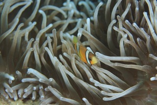 写真 2017-10-16 21 44 12.jpg