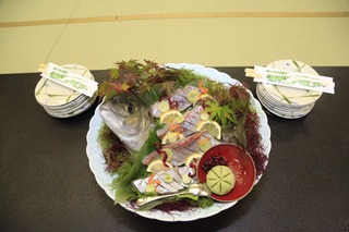 写真 2017-11-24 22 25 58.jpg