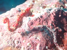 写真 2017-12-27 19 11 13.jpg