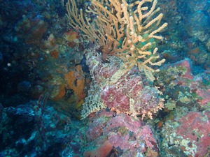 写真 2017-12-27 19 11 17.jpg