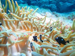 写真 2017-12-27 19 11 26.jpg