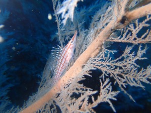 写真 2017-12-27 19 11 33.jpg