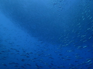 写真 2019-01-26 9 47 52.jpg