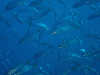 写真 2019-01-26 9 48 13.jpg