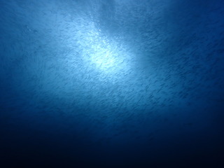 写真 2019-01-26 9 50 06.jpg