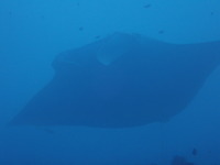 写真 2019-02-09 16 31 27.jpg