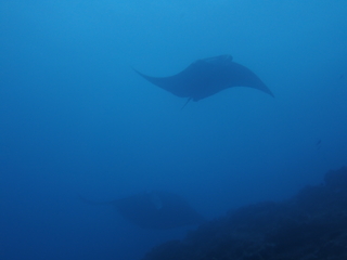 写真 2019-02-09 16 32 23.jpg