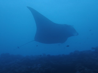 写真 2019-02-09 16 33 45.jpg