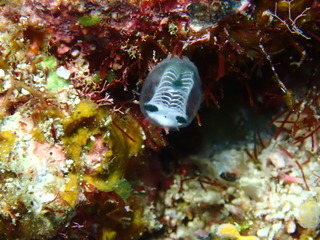 写真 2019-02-10 12 24 13.jpg