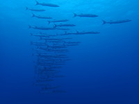 写真 2019-02-10 12 45 27.jpg