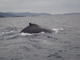 写真 2019-02-10 15 45 12.jpg