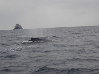 写真 2019-02-10 16 26 08.jpg