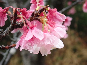 写真 2019-02-11 10 46 07.jpg