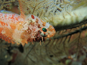 写真 2019-03-23 10 35 27.jpg