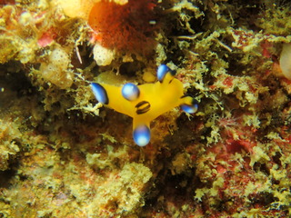 写真 2019-03-23 10 38 29.jpg