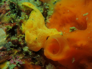 写真 2019-03-23 12 30 49.jpg