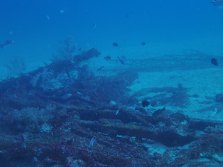 写真 2019-12-21 10 09 23.jpg