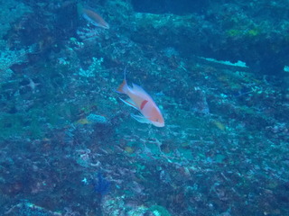 写真 2019-12-21 10 11 09.jpg