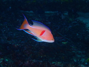 写真 2019-12-21 10 11 37.jpg