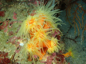 写真 2019-12-21 10 22 29.jpg