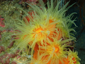 写真 2019-12-21 10 22 45.jpg