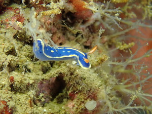 写真 2019-12-21 10 25 27.jpg