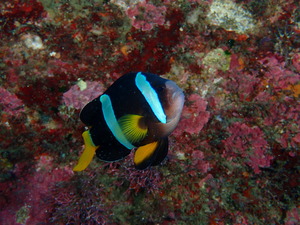 写真 2019-12-21 12 31 14.jpg