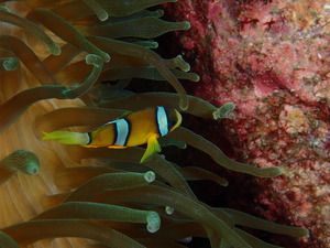 写真 2019-12-21 12 38 56.jpg