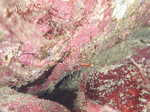 写真 2019-12-21 12 46 05.jpg