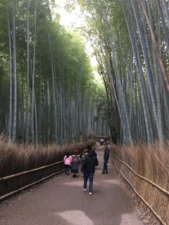 写真 2020-01-15 15 15 13.jpg