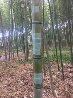 写真 2020-01-15 15 41 55.jpg