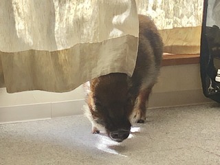 写真 2020-02-09 10 28 48.jpg