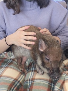 写真 2020-02-18 22 50 40.jpg